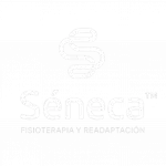 seneca-Photoroom